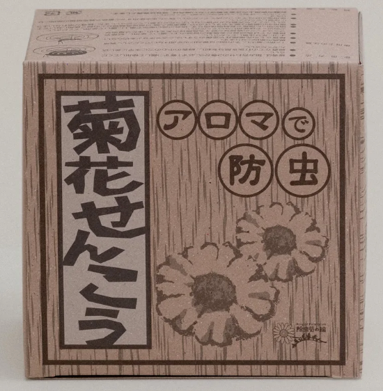 Encens chrysantheme anti-moustique